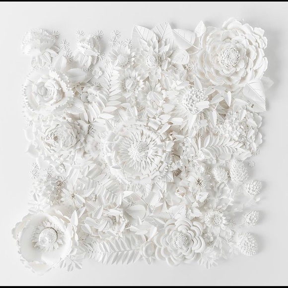 Meet your Posher, Tara - Picture 1 of 1